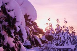 Wintersonnenaufgang mit frisch verschneiten Wäldern und Bergen foto