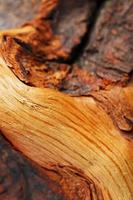 Natürliche Bonsai-Snag-Stamm-Nahaufnahme-Holzstruktur foto