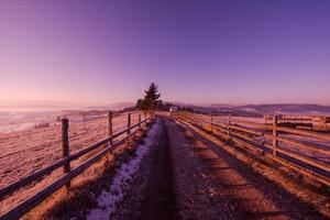 Winterlandschaft mit einsamem Baum foto