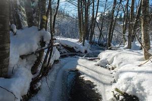 Eis im Winterbach foto