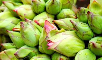 berühmter lotos von westbengalen, bevor er auf dem howrah-blumenmarkt zum verkauf blüht foto