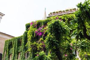 Gebäuderuinen und antike Säulen in Rom, Italien foto