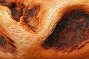 Natürliche Bonsai-Snag-Stamm-Nahaufnahme-Holzstruktur foto