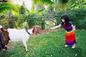 süßes asiatisches mädchen versorgt das tier mit futter. Kind füttert das Gras für die Ziegen. Kinder in bunten Kostümen machen tierische Aktivitäten. auf dem grünen Rasen. Kind ist 4 Jahre alt. im Sommer oder Frühling. foto