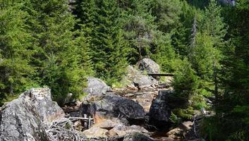 landschaft naturlandschaft mit felsen und grünen waldbäumen in gesellschaft von fluss und der holzbrücke im hintergrund foto