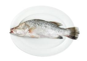 Barramundi- oder Wolfsbarsch-Fisch in Schale isoliert auf weißem Hintergrund, Beschneidungspfad enthalten foto