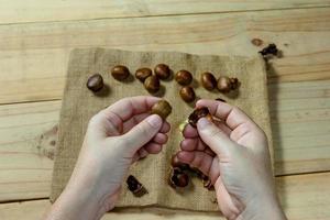 Hand, die frische Kastanien mit Sacktaschenhintergrund hält foto