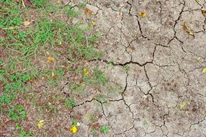 trockener und rissiger Boden mit grünem Gras foto