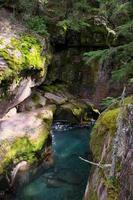 Blick auf den Avalanche Creek in Montana foto