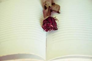 trockene Rose auf leerem Notizbuch. selektiver Fokus. Vintage-Ton. foto