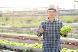 Junger asiatischer Bauer, der frischen Bio-Salat aus grüner Eiche hält und zeigt, Daumen nach oben auf dem Bauernhof, Erzeugnis und Anbau für Erntelandwirtschaftsgemüse mit Geschäft, gesundem Lebensmittelkonzept. foto