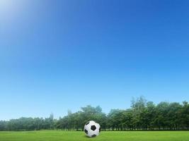 fußball auf grünem gras im schönen kurs in thailand. Fußball auf grünem Fußballplatz in der Morgenzeit mit weichem Sonnenlicht foto