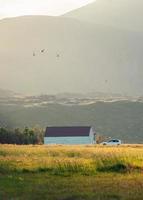 isländisches holzhaus, das mit sonnenlicht auf der wiese leuchtet, und vögel, die im sommer im sonnenuntergang im fischerdorf arnarstapi, island, herumfliegen foto