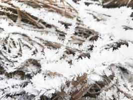 Eiskristalle auf trockenem Gras. frostiges muster in der natur im winter vor frost und schnee. Hintergrund, Platz für Text. foto