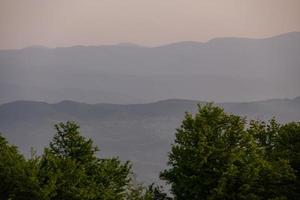 Landschaft Natur Sommer foto