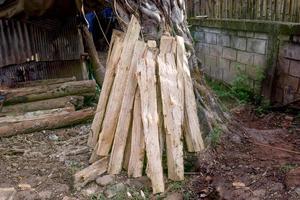 Haufen Brennholz an einen Baum gelehnt foto