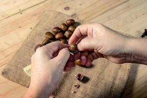 Hand, die frische Kastanien mit Sacktaschenhintergrund hält foto