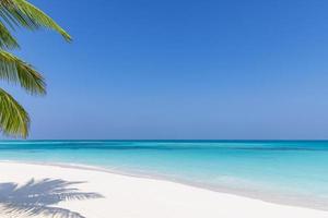 sommerstrand hintergrund palmen gegen blauer himmel banner panorama, tropisches reiseziel. weißer Sand, exotische Landschaft des blauen Meeres, erstaunlicher Sommerhintergrund