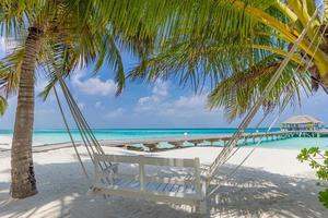 tropisches strandpanorama als sommerlandschaft mit strandschaukel oder hängematte und weißem sand und ruhigem meer für strandbanner. perfektes strandszenenurlaubs- und sommerferienkonzept. Verbessern Sie den Farbprozess