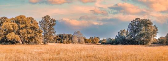 bunter Herbstsonnenaufgang auf der Wiese. panoramische naturlandschaft, weiche pastellfarben, traumnatur, sonnenuntergang herbstlicher hintergrund. Waldfeld, Nahaufnahme goldene Graswiese. friedliches erstaunliches naturpanorama foto