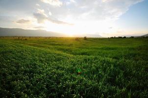 schöner sonnenuntergang in der natur foto