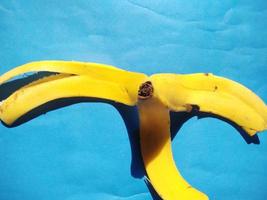 Bananen auf blauem Hintergrund. kalter Ton foto