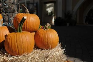 Thanksgiving und Halloween - mehrere Kürbisse auf und um Heuhaufen foto