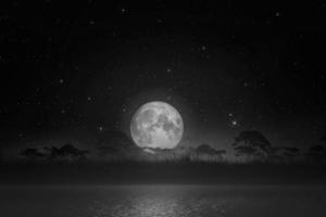 nachtlandschaft ruhiger fluss und silhouette gras und baum bei vollmond im himmel originalquelle von der nasa foto