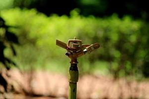 Wassersprinkler im Garten. foto