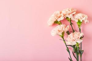 Strauß rosa Nelken. designkonzept des feiertagsgrußes mit nelkenblumenstrauß auf rosa tischhintergrund foto
