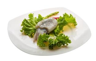 rohe Tintenfische auf dem Teller und weißem Hintergrund foto