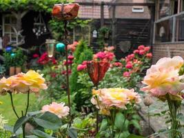 sommerzeit in einem deutschen garten foto