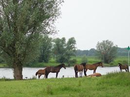 Die Stadt Dosburg in den Niederlanden foto