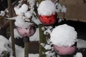 Winterzeit in einem deutschen Garten foto