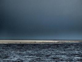 die insel borkum foto