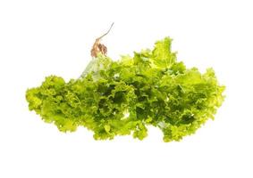 Salatblätter auf weißem Hintergrund foto