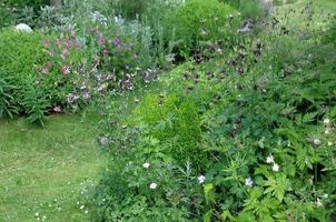 Schöner Garten in Westfalen foto