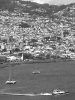 die Insel Madeira foto