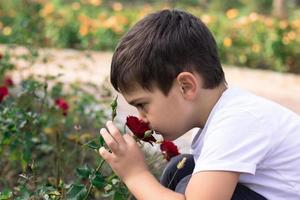 kleiner Junge, der rote Rose riecht. foto