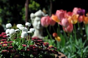 Sommerzeit im Garten foto