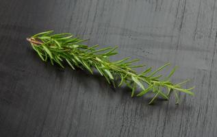 Rosmarinpflanze auf Holzhintergrund foto