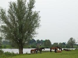 Die Stadt Dosburg in den Niederlanden foto