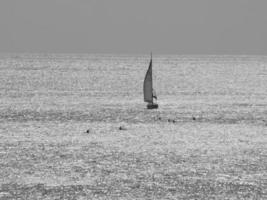 die Insel Madeira foto