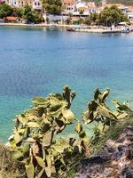 Ein großer Kaktuspflanzenbusch mit dicken Blättern, Knospen und gelben Blüten vor dem blauen Meereshintergrund in Skiathos, Griechenland. foto