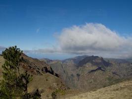 die Insel Madeira foto