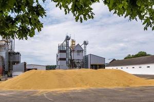 moderner Getreideaufzug. Silbersilos auf Agro-Verarbeitungs- und Produktionsanlagen zur Verarbeitung, Trocknung, Reinigung und Lagerung von landwirtschaftlichen Produkten, Mehl, Getreide und Getreide. foto