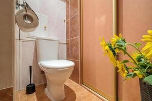 Toilette und Detail einer Eckduschkabine mit wandmontierter Duschvorrichtung foto