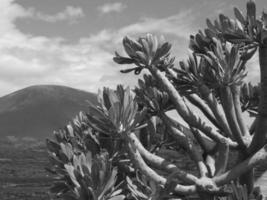 Lanzarote in Spanien foto