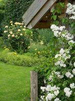 Sommergarten in Westfalen foto