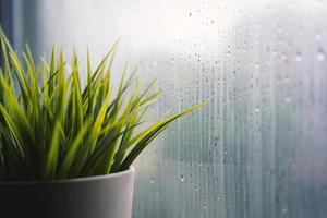 Nahaufnahme des Blumentopfes in der Nähe des Fensters mit Regentropfen, regnerischer Tageshintergrund foto